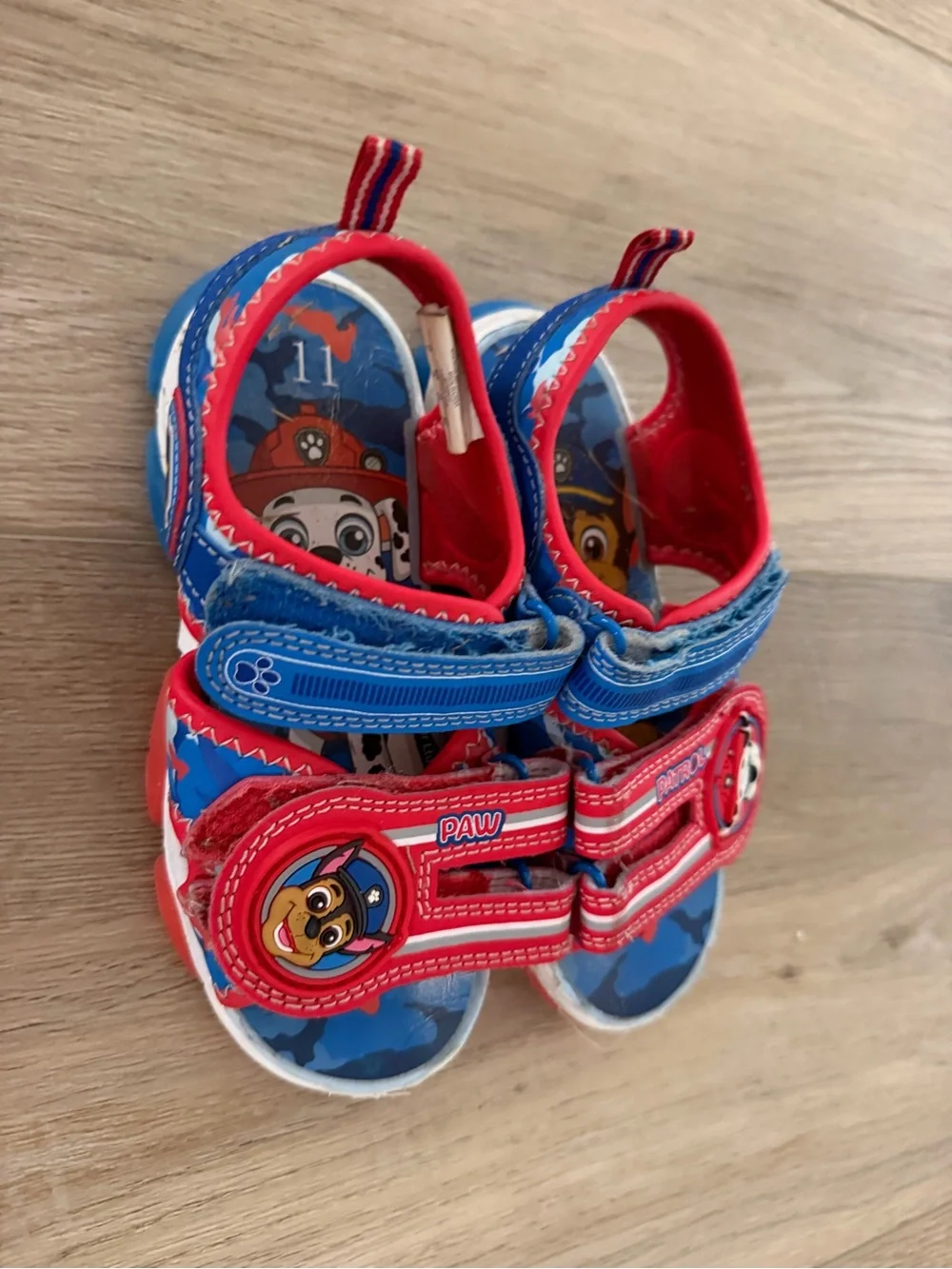 Paw Patrol bright paw